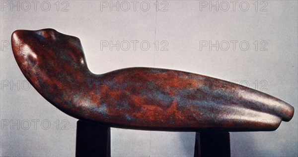 ARCHIPENKO ALEXANDER 1887/1964
TORSO EN EL ESPACIO - 1936 - ESCULTURA EN BRONCE
CHICAGO-ILLINOIS, WHITNEY MUSEUM
EEUU
This image is not downloadable. Contact us for the high res.