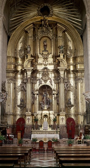 INTERIOR HACIA LA CABECERA
LORCA, IGLESIA DEL SALVADOR
MURCIA
This image is not downloadable. Contact us for the high res.
