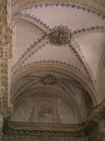 BOVEDA DE LA SACRISTIA
JUMILLA, IGLESIA DE SANTIAGO
MURCIA
This image is not downloadable. Contact us for the high res.