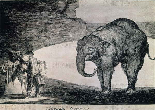 Goya, Dessin - Sottise de Bête