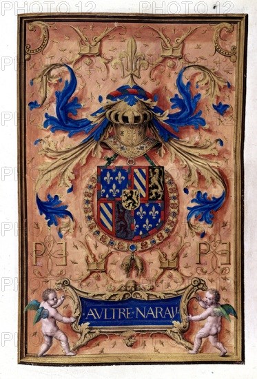 MANUSCRITO-LIBRO TOISON-EMBLEMA FELIPE III BU
MADRID, INSTITUTO VALENCIA DE DON JUAN
MADRID