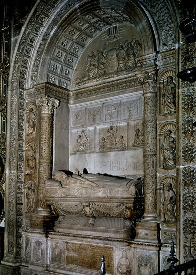 FANCELLI DOMENICO 1469-1518 
SEPULCRO CARD HURTADO MENDOZA-CAP VIRGEN ANTIGUA
SEVILLA, CATEDRAL
SEVILLA

This image is not downloadable. Contact us for the high res.