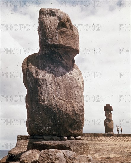 *MOAIS GIGANTES DE PIEDRA
ISLA DE PASCUA, EXTERIOR
CHILE
This image is not downloadable. Contact us for the high res.