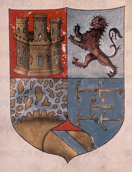 *ESCUDO DE ARMAS DE CRISTOBAL COLON CONCEDIDO POR RRCC
GENOVA, MUSEO NAVAL
ITALIA