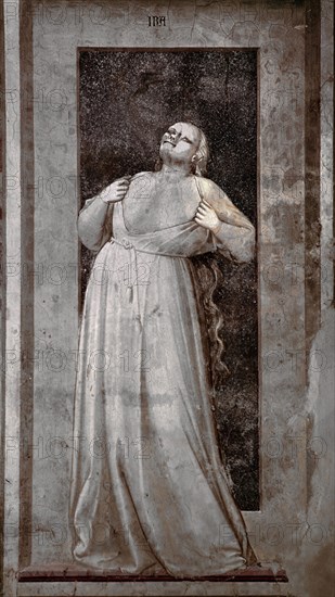 GIOTTO 1266/1337
*PECADO CAPITAL 'LA IRA'
PADUA, CAPILLA SCROVEGNI
ITALIA
This image is not downloadable. Contact us for the high res.