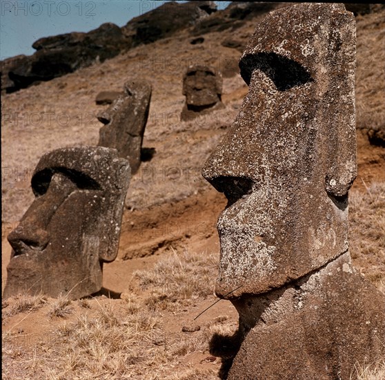 *COLOSOS
ISLA DE PASCUA, EXTERIOR
CHILE
This image is not downloadable. Contact us for the high res.