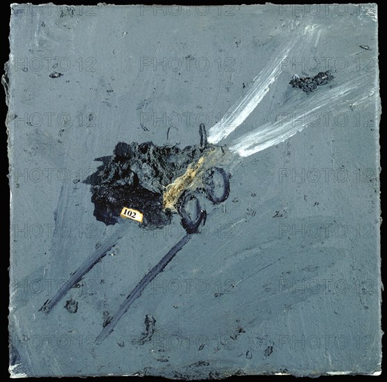 Miquel Barcelo