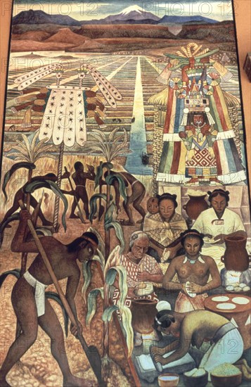 RIVERA DIEGO 1886/1957
I-TRABAJO DE LA TIERRA Y PREPARACION DE ALIMENTOS-CIVILIZAC TOLTECA
MEXICO DF, PALACIO NACIONAL
MEXICO