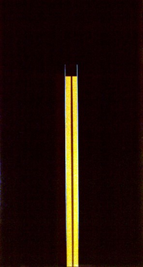 BRUN ROSA
SIN TITULO-240 X 130 CM-MEDALLA DE HONOR DEL PREMIO YBARRA 92