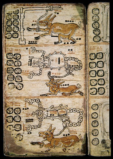 Page from the Madrid Codex