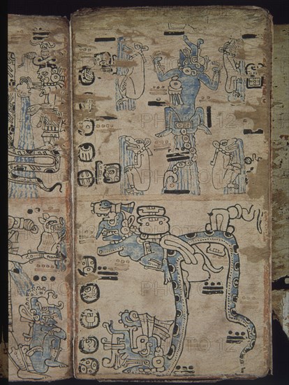 Facsimile
Page of the Tro-Cortesianus Codex