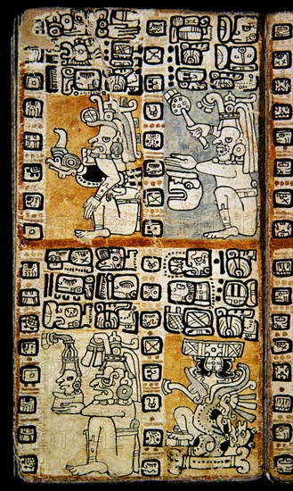 Page from the Madrid Codex