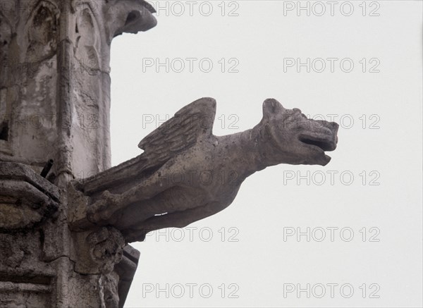 EXTERIOR-FACHADA-BALCON-DET ESCULTURA DE ANIMAL FANTASTICO
BURGOS, CASA DEL CORDON
BURGOS