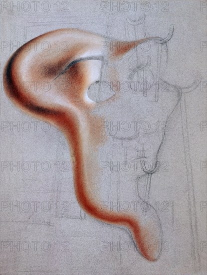 Dali, Etude pour "Autoportrait mou et bacon frit"