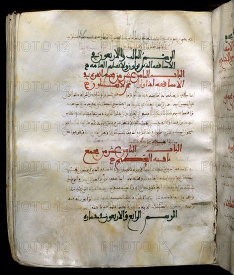 VICENTE PRESBITERO
COLECCION CANONICA TRADUCIDA AL ARABE-SIG1623-F171-COPIA DE 1049
SAN LORENZO DEL ESCORIAL, MONASTERIO-BIBLIOTECA
MADRID