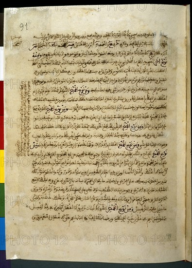 UMDAT AL-TABIB-F 91V-DICCIONARIO DE MATERIA MEDICA VEGETAL
MADRID, ACADEMIA DE HISTORIA
MADRID