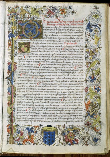 DE VITA ET MORIBUS PHILOSOPHORUM-VIT 18-7 F 1-S XV-
MADRID, BIBLIOTECA NACIONAL
MADRID