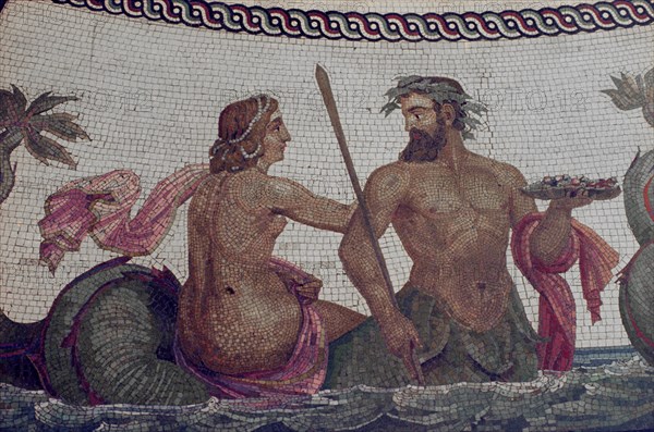 DET DE MOSAICO
SAN PETESBURGO, MUSEO ERMITAGE
RUSIA
This image is not downloadable. Contact us for the high res.