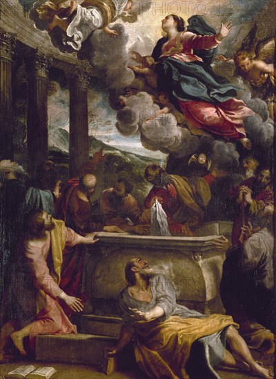 CARRACCI ANIBALE 1560/1609
LA ASUNCION-L.1,30X0,97-NºPRADO 75-HACIA 1587
Madrid, Museo del Prado