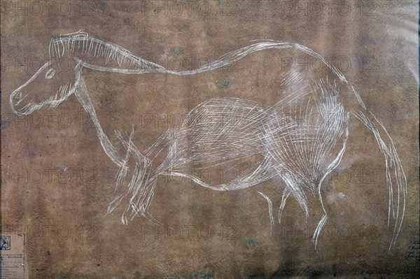 PINTURA RUPESTRE DEL CASTRO DE COAÑA- CABALLO
OVIEDO, MUSEO ARQUEOLOGICO
ASTURIAS