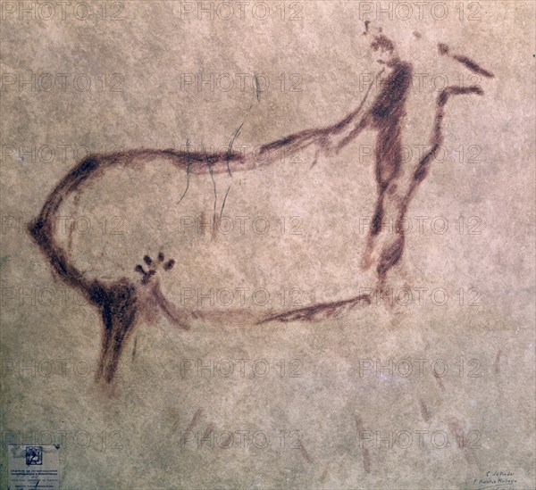 PINTURA RUPESTRE DEL CASTRO DE COAÑA - CIERVO
OVIEDO, MUSEO ARQUEOLOGICO
ASTURIAS