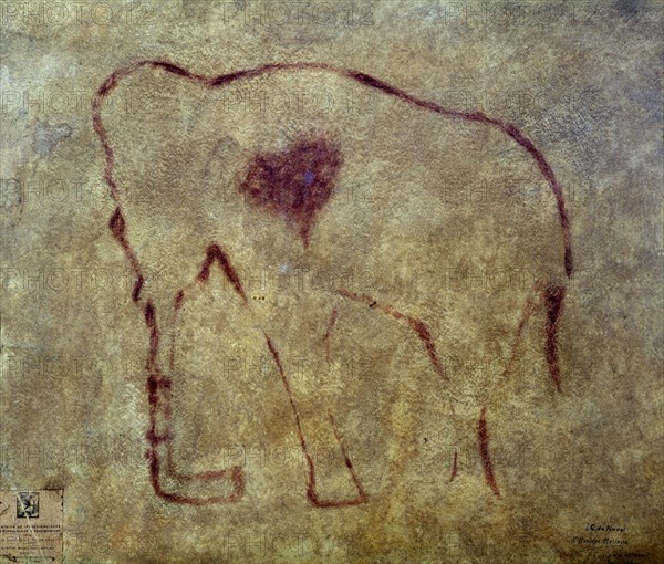 PINTURA RUPESTRE PROCEDENTE DE LA CUEVA DEL PINDAL - MAMUT HERIDO
OVIEDO, MUSEO ARQUEOLOGICO
ASTURIAS