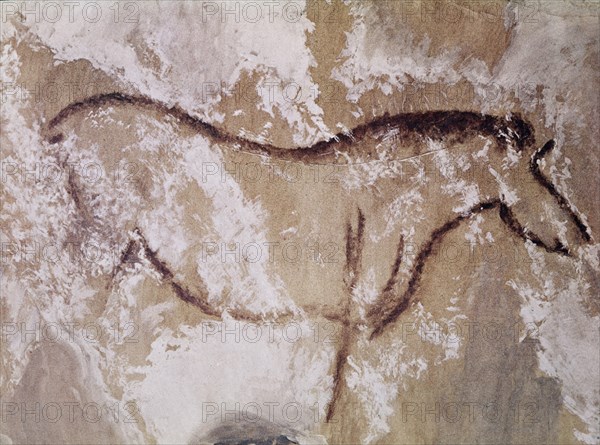 PINTURA RUPESTRE - CABALLO EN ROJO Y GRABADO - PALEOLITICO SUPERIOR
CANDAMO, CUEVA DE SAN ROMAN
ASTURIAS