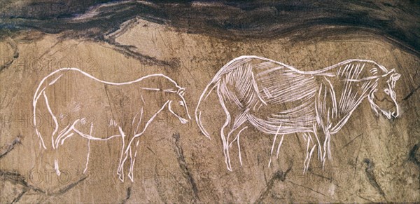 PINTURAS RUPESTRES - CABALLOS PASTANDO - MAGDALENIENSE
CANGAS DE ONIS, CUEVA DEL BUXU
ASTURIAS