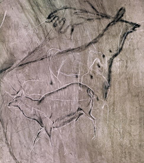PINTURA RUPESTRE - CIERVO CABALLO Y GAMO
CANGAS DE ONIS, CUEVA DEL BUXU
ASTURIAS
This image is not downloadable. Contact us for the high res.