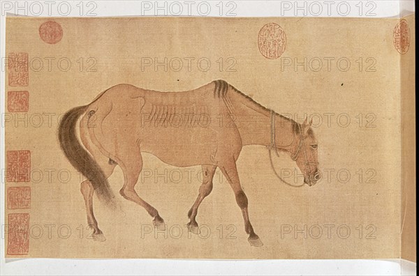 JEN JEN FA
EL CABALLO FLACO(COLORES SOBRE SEDA)-1254-1327
PEKIN, MUSEO DE PEKIN
CHINA