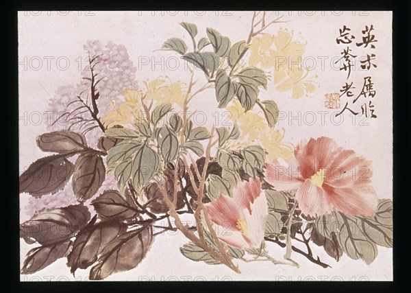 CHAO CHE KIEN
FLORES(TINTA NEGRA Y COLORES)-1829-1884
PEKIN, MUSEO DE PEKIN
CHINA

This image is not downloadable. Contact us for the high res.