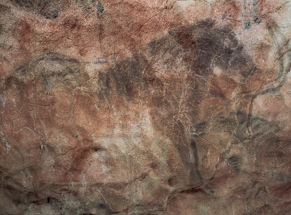 PINTURA RUPESTRE - CABALLO - PALEOLITICO SUPERIOR
RIBADESELLA, CUEVA DE TITO BUSTILLO
ASTURIAS