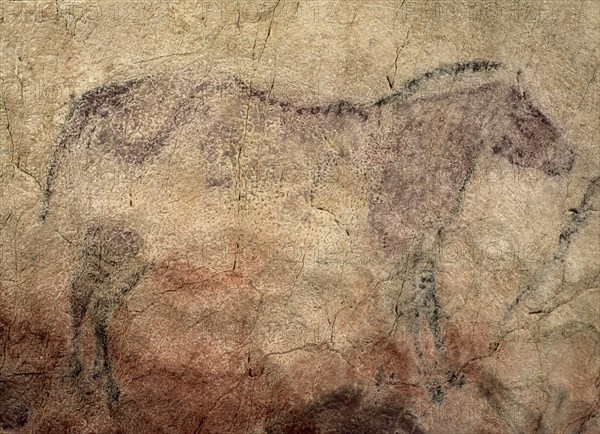 PINTURA RUPESTRE - CABALLO - PALEOLITICO SUPERIOR
RIBADESELLA, CUEVA DE TITO BUSTILLO
ASTURIAS