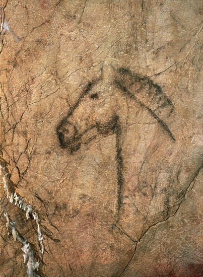 PINTURA RUPESTRE - CABEZA DE CABALLO DE LA CUEVA DE TITO BUSTILLO - PALEOLITICO SUPERIOR
RIBADESELLA, CUEVA DE TITO BUSTILLO
ASTURIAS