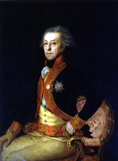 Goya, General Antonio Ricardos Carrillo de Albornoz