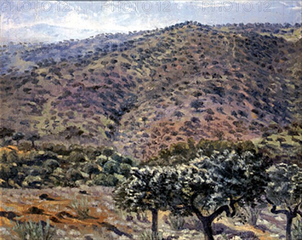 LUENGO NIEVES
MONTES EXTREMENOS