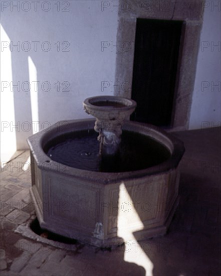 FUENTE DEL VESTIBULO DEL PALACIO
YUSTE, MONASTERIO
CACERES

This image is not downloadable. Contact us for the high res.