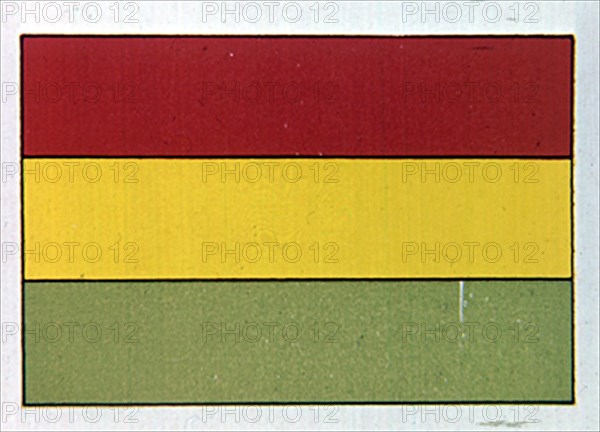 BANDERA DE BOLIVIA

This image is not downloadable. Contact us for the high res.