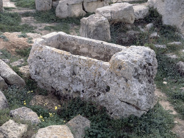 BASILICA PALEOCRISTIANA SARCOFAGO
SON BOU, EXTERIOR
MENORCA

This image is not downloadable. Contact us for the high res.