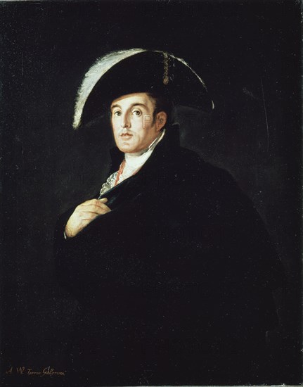 Goya, Le duc de Wellington