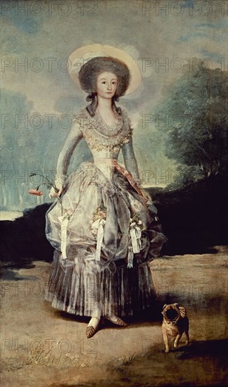 Goya, The Marquesa de Pontejos