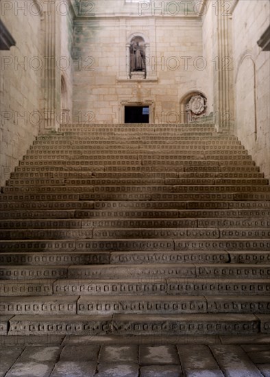 ESCALERA DE HONOR O MONUMENTAL - (1644/1647)
OSERA, MONASTERIO
ORENSE
This image is not downloadable. Contact us for the high res.