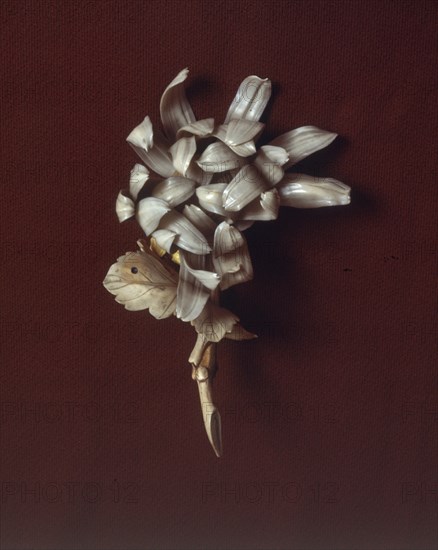 BROCHE DE MARFIL
MADRID, COLECCION PARTICULAR
MADRID