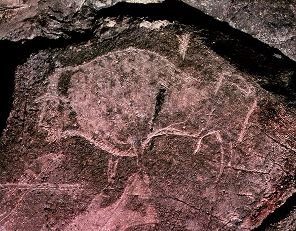 BISONTE-PINTURA RUPESTRE
ALTXERRI, CUEVA
GUIPUZCOA