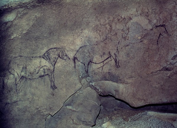 CABALLOS-PINTURA RUPESTRE
EKAIN, CUEVA
GUIPUZCOA