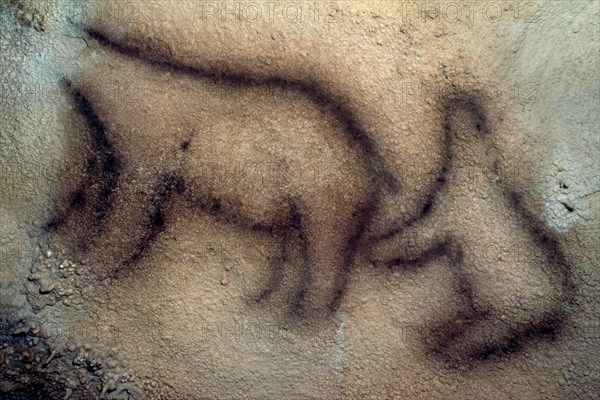 OSO-PINTURA RUPESTRE
EKAIN, CUEVA
GUIPUZCOA