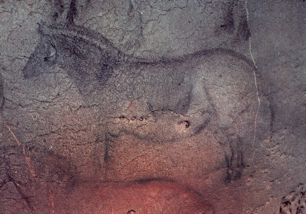 CABALLO DEL GRAN PANEL-PINTURA RUPESTRE
EKAIN, CUEVA
GUIPUZCOA