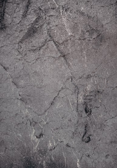 TREN DELANTERO DE CABALLO-PINTURA RUPESTRE
EKAIN, CUEVA
GUIPUZCOA