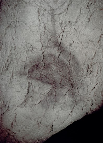 CABEZA DE CABALLO-PINTURA RUPESTRE
EKAIN, CUEVA
GUIPUZCOA