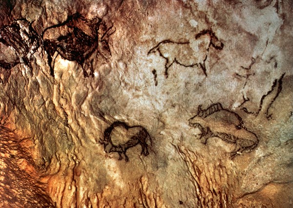 PANEL DE PINTURAS RUPESTRES
CORTEZUBI, CUEVA SANTIMAMIÑE
VIZCAYA